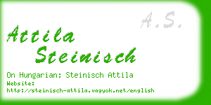 attila steinisch business card